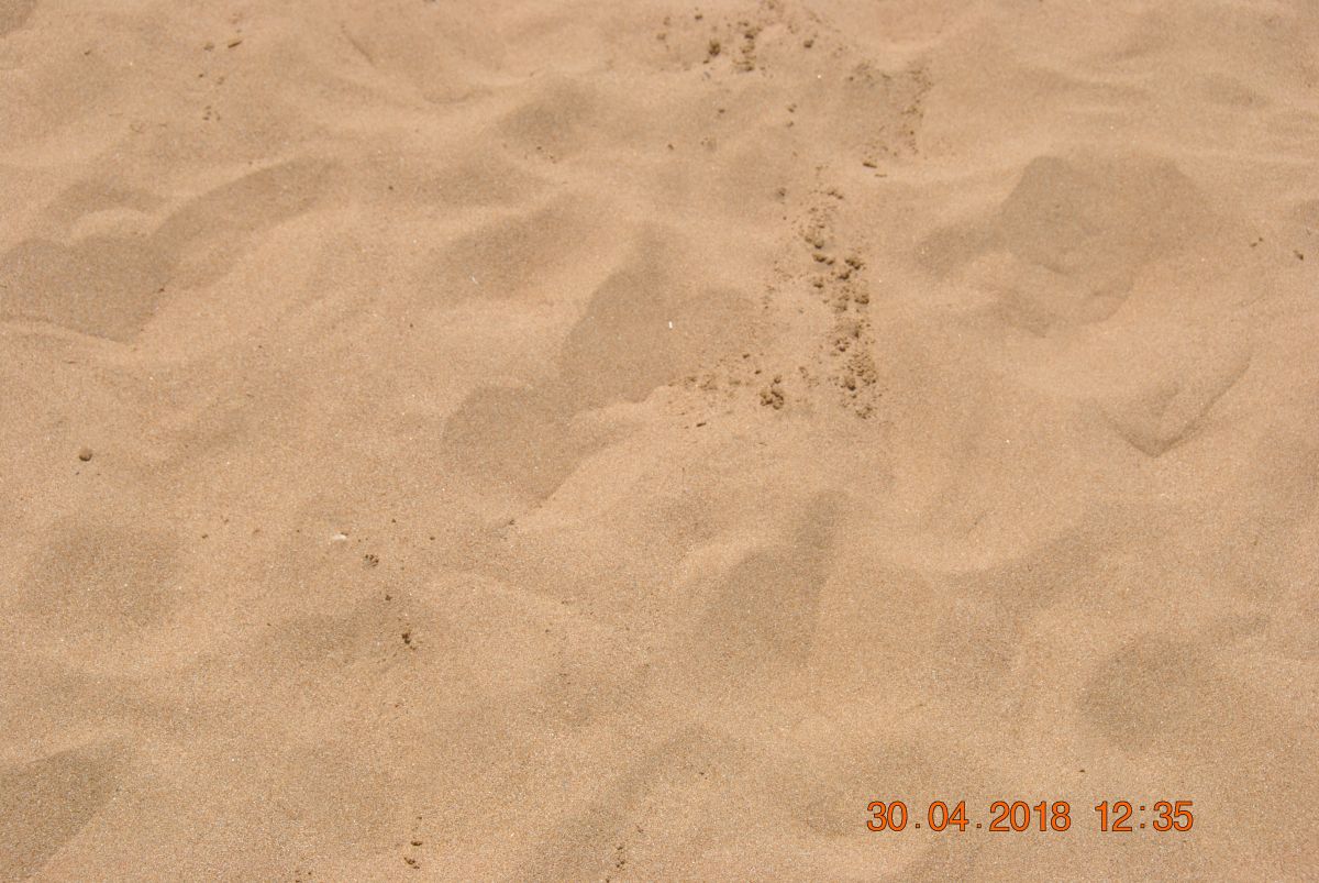 imagini hotel VON GOLDEN COAST